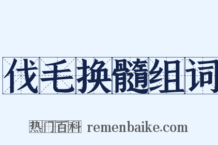 伐毛换髓组词是什么意思的图片